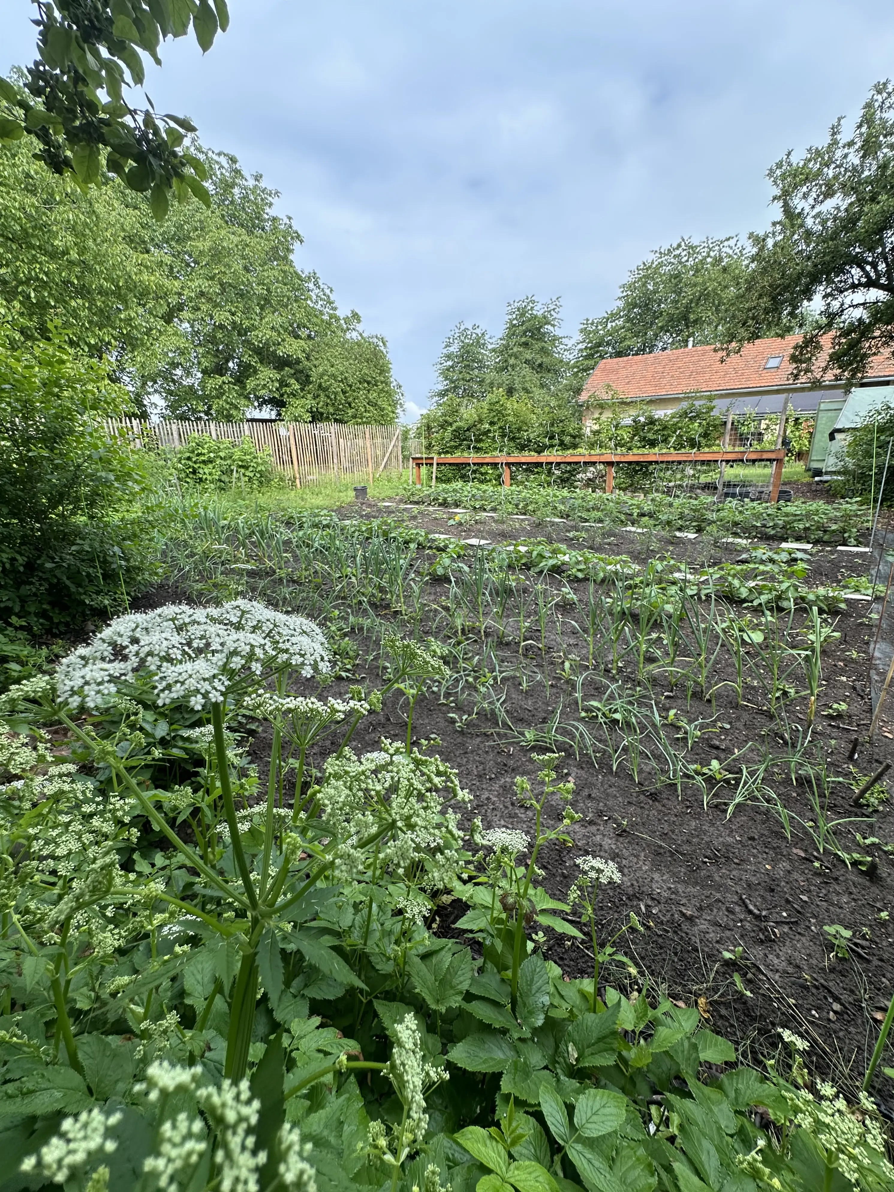 Moestuin, mooie woonboerderij, chalupa, Tsjechische Republiek.